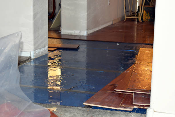 Professional Water Damage Repair technician working in East Freetown, MA